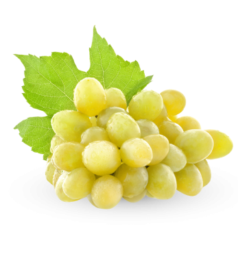 عنب أبيض